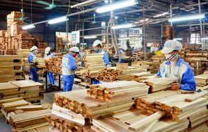 Thủ tục xuất khẩu gỗ và các sản phẩm từ gỗ