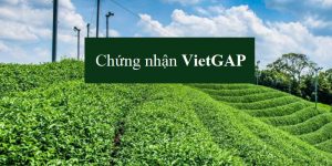 Lợi ích của việc áp dụng VietGAP vào chăn nuôi