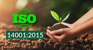 Chứng nhận hệ thống quản lý môi trường - ISO 14001