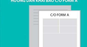 Hướng dẫn kê khai C/O Form A
