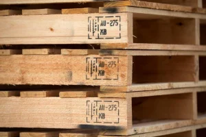 Hun Trùng Pallet Gỗ Trong Vận Chuyển Quốc Tế