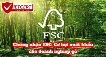 Chứng nhận FSC: Cơ hội xuất khẩu cho doanh nghiệp gỗ