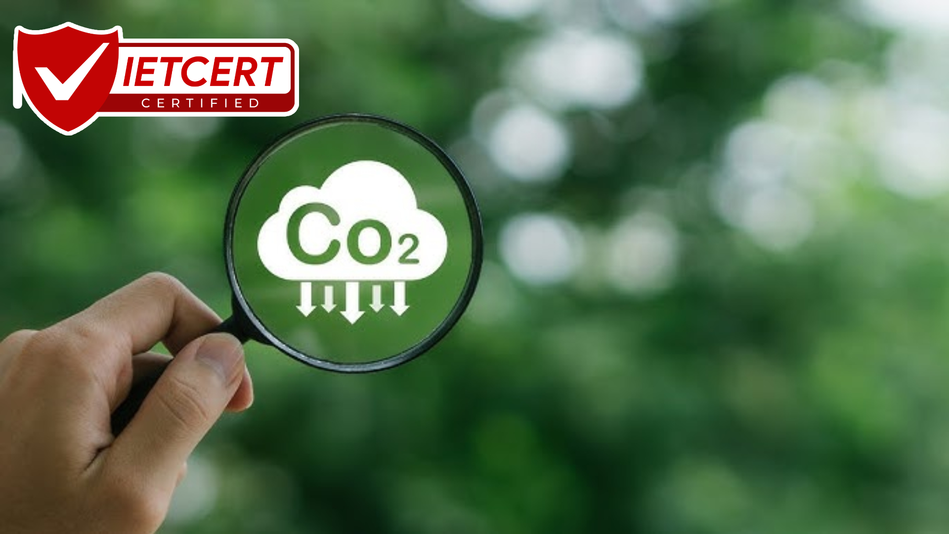 TIÊU CHUẨN PAS 2060: TRUNG HÒA CARBON DOANH NGHIỆP TIÊU CHUẨN PAS 2060: TRUNG HÒA CARBON DOANH NGHIỆP