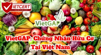 VietGAP: Chứng Nhận Hữu Cơ Tại Việt Nam