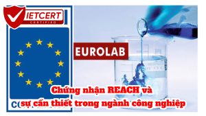 Chứng nhận REACH và sự cần thiết trong ngành công nghiệp