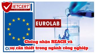 Chứng nhận REACH và sự cần thiết trong ngành công nghiệp