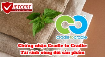 Chứng nhận Cradle to Cradle: Tái sinh vòng đời sản phẩm