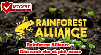 Rainforest Alliance – Dấu xanh cho cà phê, cacao