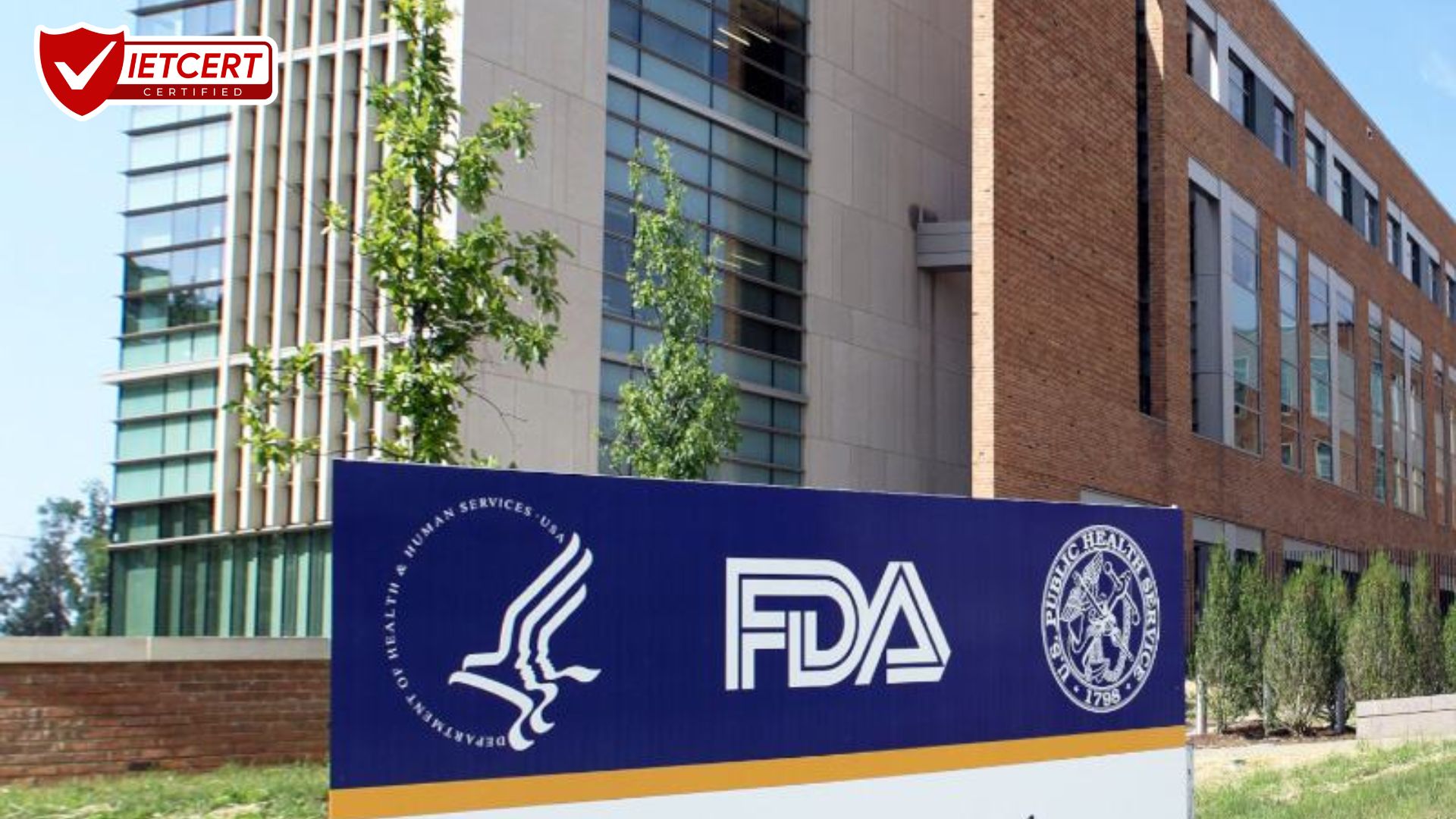 Những sai lầm phổ biến khi đăng ký FDA lần đầu Những sai lầm phổ biến khi đăng ký FDA lần đầu