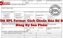 FDA SPL Format: Cách Chuẩn Hóa Hồ Sơ Đăng Ký Sản Phẩm