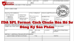 FDA SPL Format: Cách Chuẩn Hóa Hồ Sơ Đăng Ký Sản Phẩm