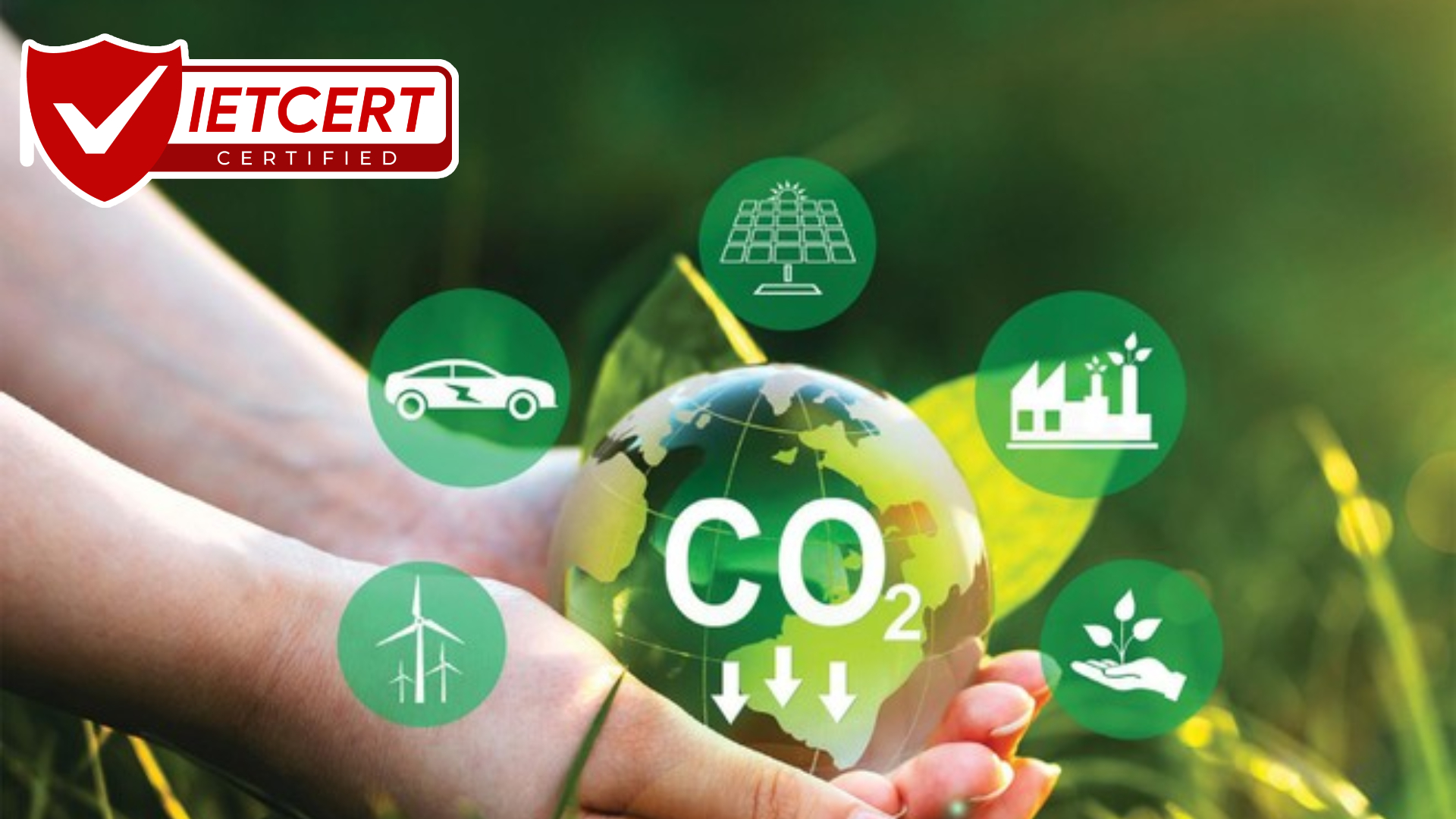 CHỨNG NHẬN CARBON OFFSET: GIẢM KHÍ NHÀ KÍNH CHỨNG NHẬN CARBON OFFSET: GIẢM KHÍ NHÀ KÍNH
