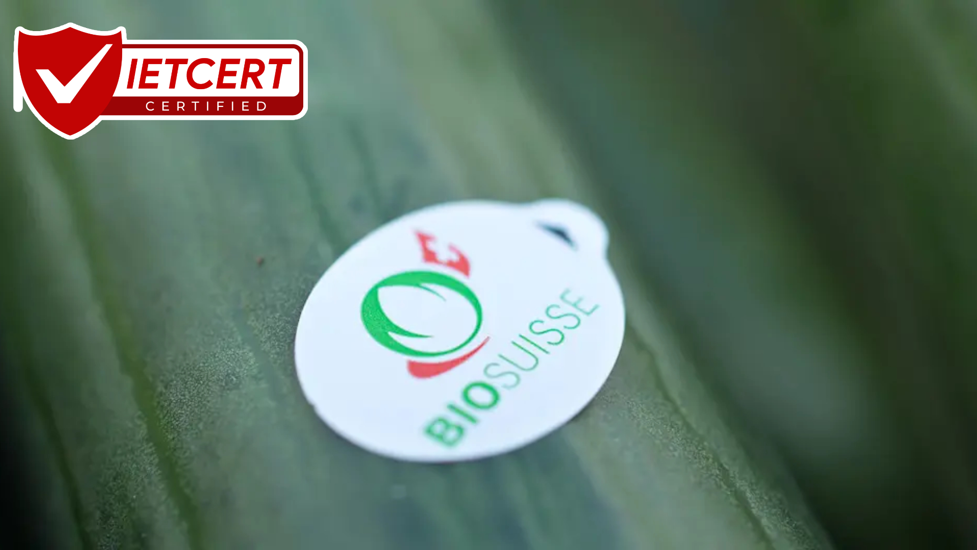 CHỨNG NHẬN BIO SUISSE: THỰC PHẨM HỮU CƠ THỤY SĨ CHỨNG NHẬN BIO SUISSE: THỰC PHẨM HỮU CƠ THỤY SĨ