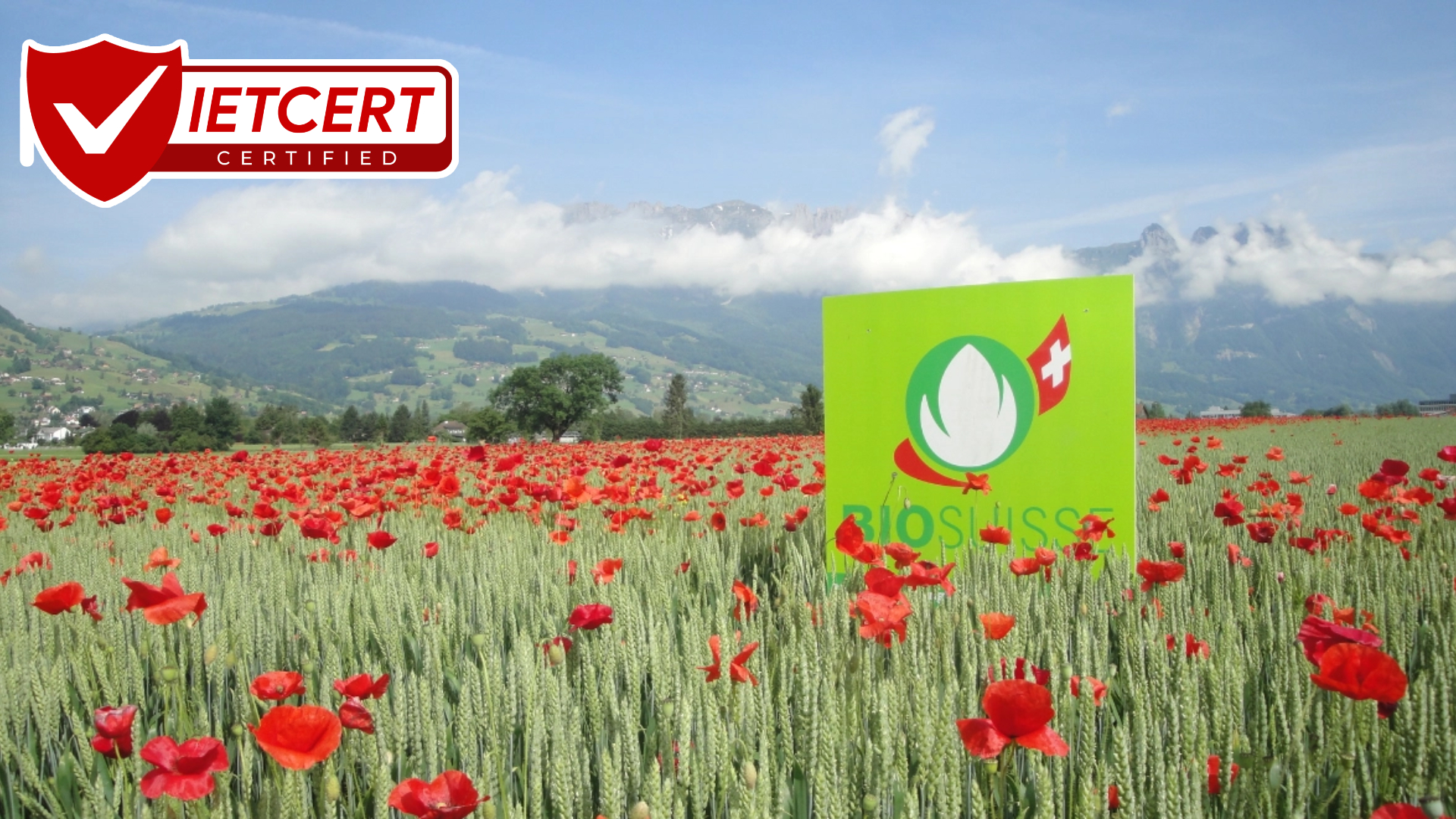 CHỨNG NHẬN BIO SUISSE: THỰC PHẨM HỮU CƠ THỤY SĨ CHỨNG NHẬN BIO SUISSE: THỰC PHẨM HỮU CƠ THỤY SĨ