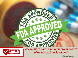 FDA Là Gì? Tổ Chức Này Có Vai Trò Gì Đối Với Hàng Hóa Xuất Khẩu Vào Mỹ?