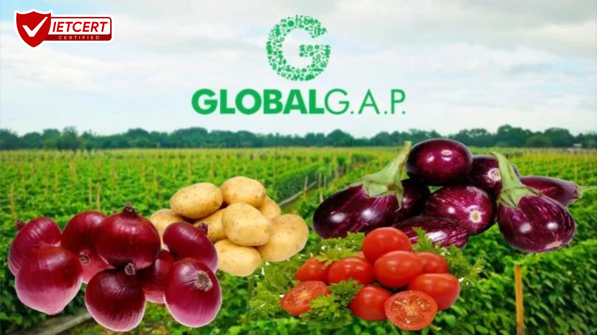 Global Gap Global Gap