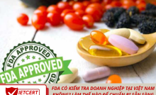 FDA Có Kiểm Tra Doanh Nghiệp Tại Việt Nam Không? Làm Thế Nào Để Chuẩn Bị Sẵn Sàng Cho Thanh Tra?