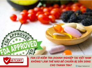 FDA Có Kiểm Tra Doanh Nghiệp Tại Việt Nam Không? Làm Thế Nào Để Chuẩn Bị Sẵn Sàng Cho Thanh Tra?