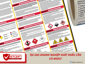 Tại Sao Doanh Nghiệp Xuất Khẩu Cần Có MSDS?