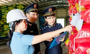 Dự kiến mô hình mới của Tổng cục Hải quan sau tinh gọn