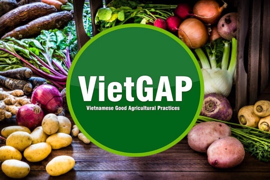Lợi ích của chứng nhận VietGAP đối với xuất khẩu nông sản