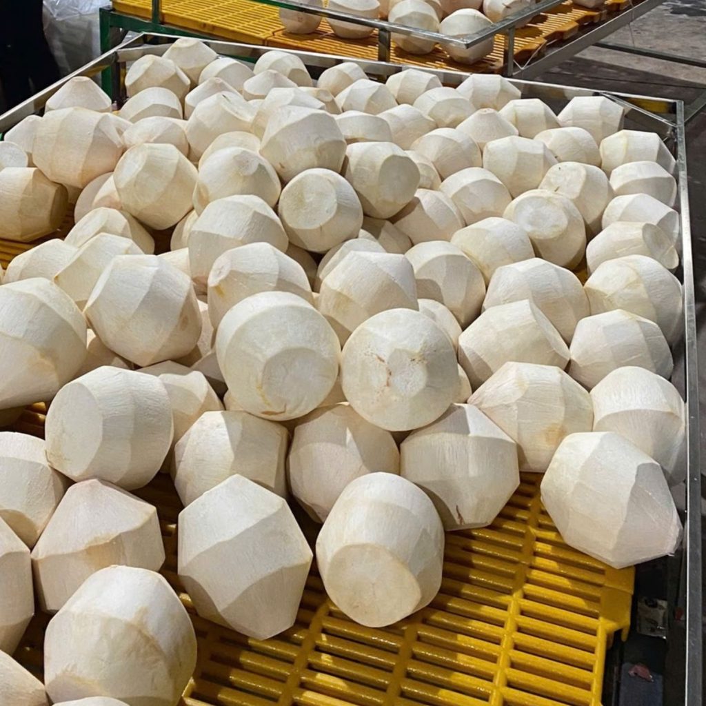 Dịch vụ khai báo hải quan hàng dừa kim cương từ Tây Ninh đi Trung Quốc uy tín, nhanh chóng