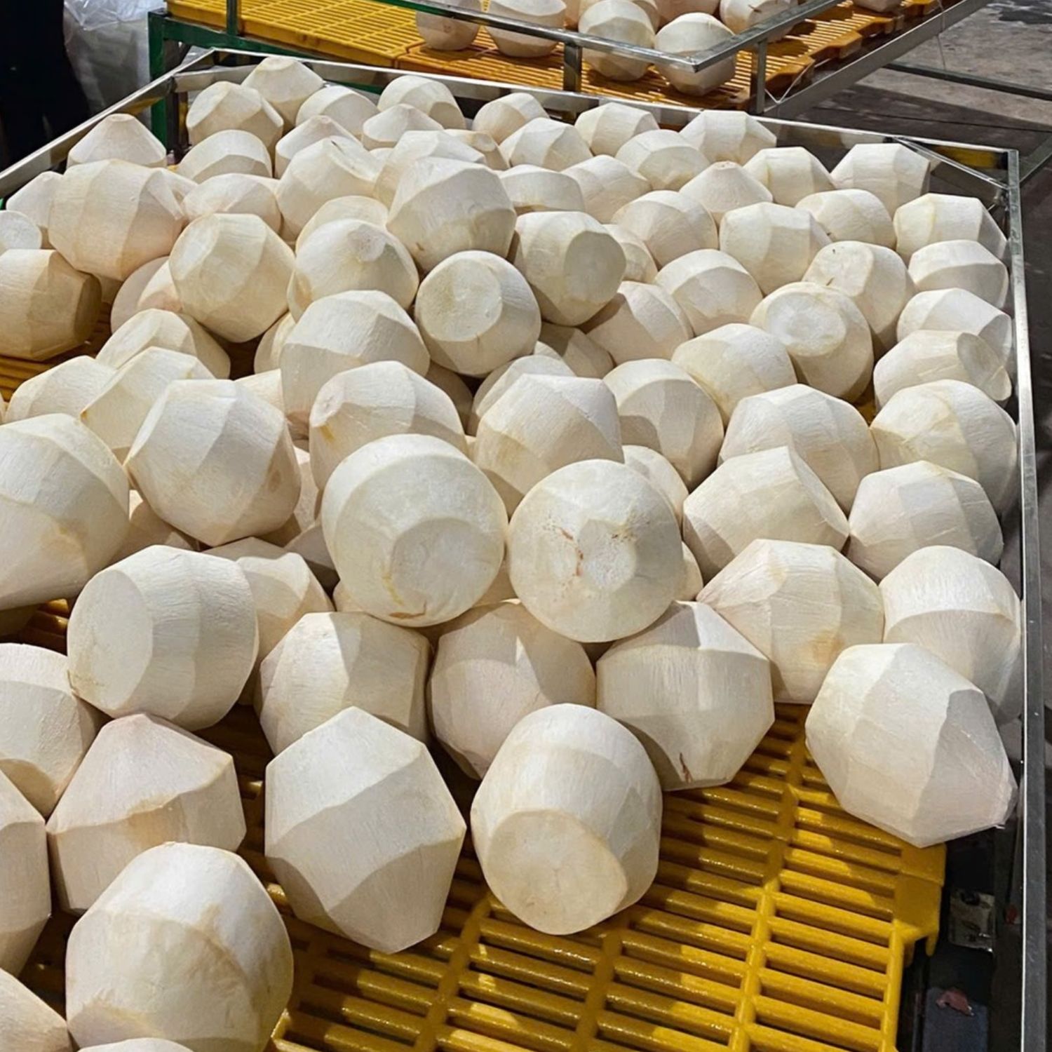 Dịch vụ khai báo hải quan hàng dừa kim cương từ Tây Ninh đi Trung Quốc uy tín, nhanh chóng