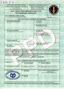 Các lỗi thường gặp khi xin giấy kiểm dịch doanh nghiệp cần tránh