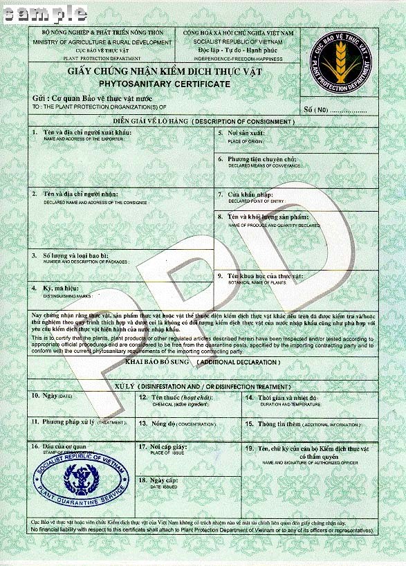 Các lỗi thường gặp khi xin giấy kiểm dịch doanh nghiệp cần tránh