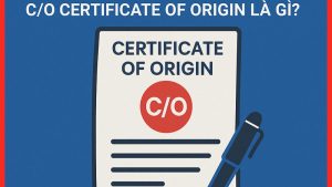 So sánh C/O ưu đãi và không ưu đãi – Doanh nghiệp cần biết gì khi xuất nhập khẩu?