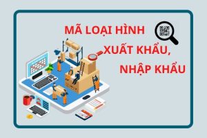 Phân biệt các loại hình xuất nhập khẩu 