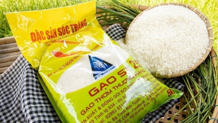Thủ Tục Xuất Khẩu Gạo Sang Các Nước Châu Âu Mới Nhất