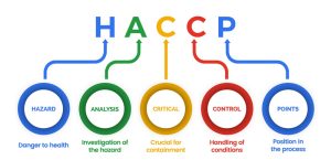 HACCP là gì? Tìm hiểu nguyên tắc, lợi ích và quy trình chứng nhận HACCP giúp doanh nghiệp kiểm soát an toàn thực phẩm hiệu quả.