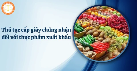 Giấy phép xuất khẩu thực phẩm là điều kiện quan trọng giúp doanh nghiệp đáp ứng quy định pháp luật, thông quan thuận lợi và mở rộng thị trường quốc tế hiệu quả.