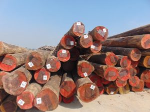 Thủ tục xuất khẩu gỗ sang EU
