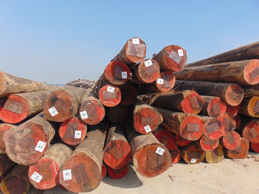 Thủ tục xuất khẩu gỗ sang EU