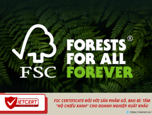 FSC CERTIFICATE ĐỐI VỚI SẢN PHẨM GỖ, BAO BÌ: TẤM "HỘ CHIẾU XANH" CHO DOANH NGHIỆP XUẤT KHẨU