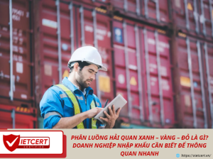 PHÂN LUỒNG HẢI QUAN XANH – VÀNG – ĐỎ LÀ GÌ? DOANH NGHIỆP NHẬP KHẨU CẦN BIẾT ĐỂ THÔNG QUAN NHANH