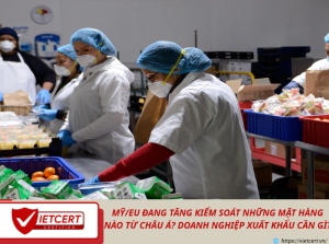 Mỹ/EU đang tăng kiểm soát những mặt hàng nào từ Châu Á? Doanh nghiệp xuất khẩu cần gì?