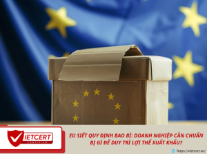 EU siết quy định bao bì: Doanh nghiệp cần chuẩn bị gì để duy trì lợi thể xuất khẩu?