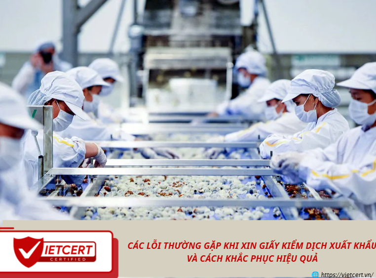 Các lỗi thường gặp khi xin giấy kiểm dịch xuất khẩu và cách khắc phục hiệu quả