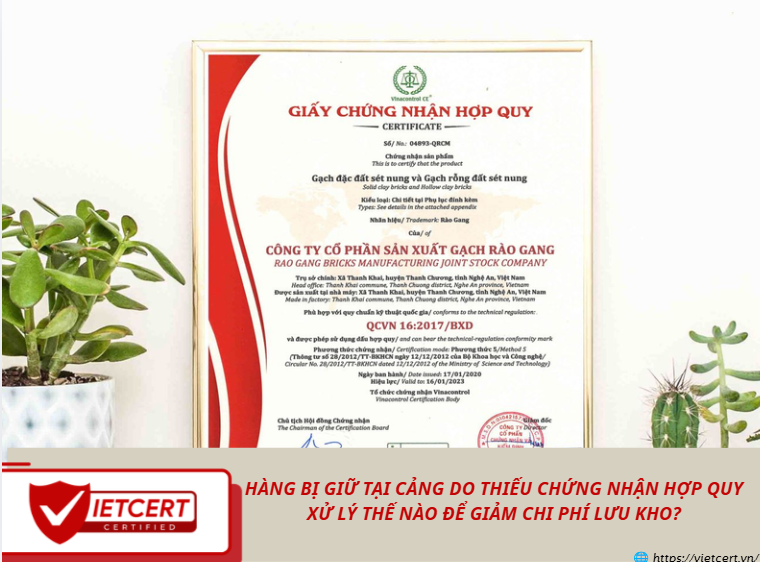 Hàng bị giữ tại cảng do thiếu chứng nhận hợp quy Xử lý thế nào để giảm chi phí lưu kho?