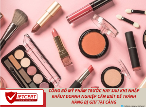 Công bố mỹ phẩm trước hay sau khi nhập khẩu? Doanh nghiệp cần biết để tránh hàng bị giữ tại cảng