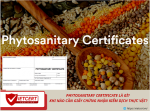 PHYTOSANITARY CERTIFICATE LÀ GÌ? KHI NÀO CẦN GIẤY CHỨNG NHẬN KIỂM DỊCH THỰC VẬT?