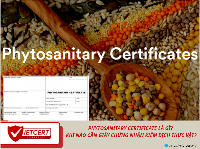 PHYTOSANITARY CERTIFICATE LÀ GÌ? KHI NÀO CẦN GIẤY CHỨNG NHẬN KIỂM DỊCH THỰC VẬT?