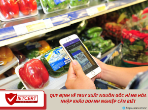 QUY ĐỊNH VỀ TRUY XUẤT NGUỒN GỐC HÀNG HÓA NHẬP KHẨU DOANH NGHIỆP CẦN BIẾT
