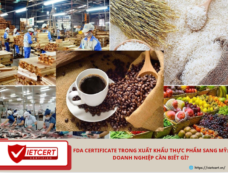 FDA CERTIFICATE TRONG XUẤT KHẨU THỰC PHẨM SANG MỸ: DOANH NGHIỆP CẦN BIẾT GÌ?