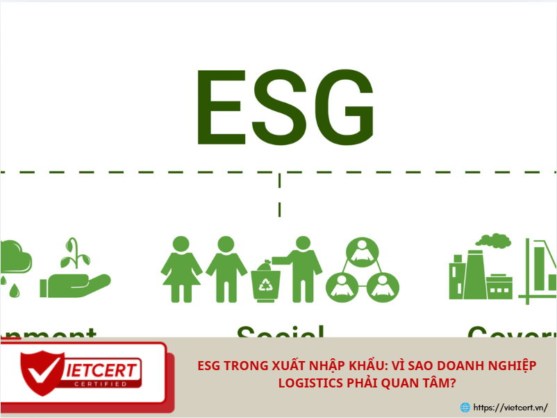 ESG trong xuất nhập khẩu: Vì sao doanh nghiệp logistics phải quan tâm?