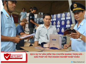 Dịch vụ tư vấn kiểm tra chuyên ngành trọn gói – Giải pháp hỗ trợ doanh nghiệp nhập khẩu
