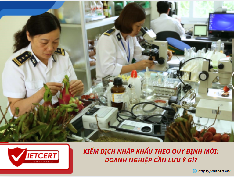 Kiểm dịch nhập khẩu theo quy định mới: Doanh nghiệp cần lưu ý gì?
